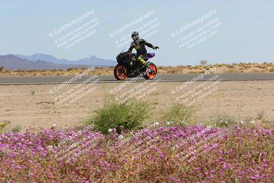 media/Mar-12-2023-SoCal Trackdays (Sun) [[d4c8249724]]/Turn 15 Inside Bloom (130pm)/